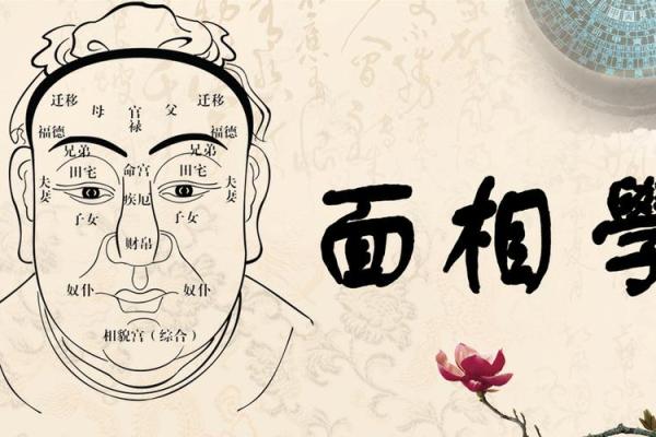 蛀牙面相揭秘：揭秘面相中的健康隐患