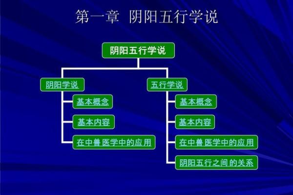 渔字五行解析：它到底代表了什么元素？