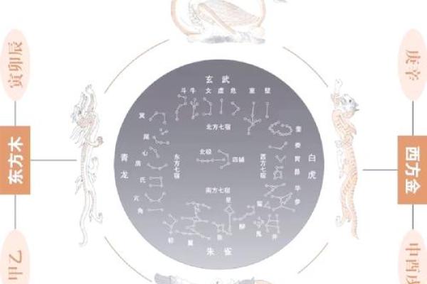 如何从命理看出聪明与多淫的命运轨迹