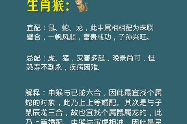兔美龙俊，八字合婚：这对生肖情侣能长久吗？