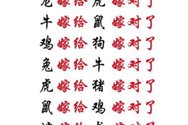 兔美龙俊，八字合婚：这对生肖情侣能长久吗？