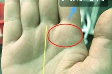 揭秘手相中的金元宝：财运亨通的密码，你掌握了吗？