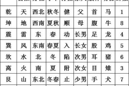梅花易数排盘软件全攻略，精准预测未来运势