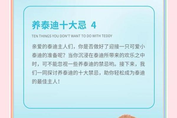 想给泰迪起个绝妙名字？这份清单不容错过