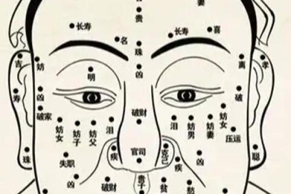 揭秘从面相看出你的运势与命运，教你如何通过面相改变人生