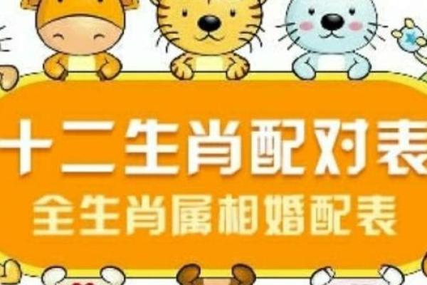 生肖配对大揭秘：鼠年幸运生肖大盘点