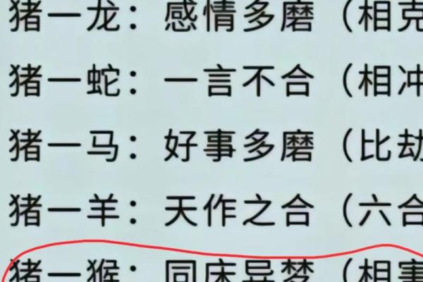 猴是金命最配什么？揭秘绝配秘籍