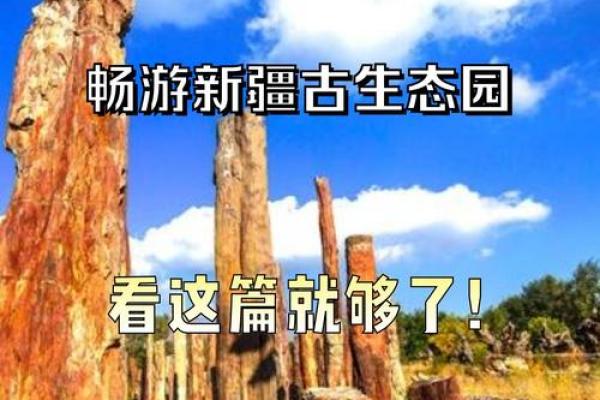 从自然到文化，生态园命名的五大策略