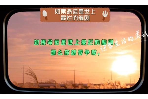 揭秘中指关节：你的命运密码，一眼看穿人生起伏