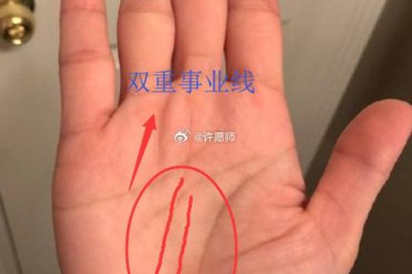 手相星文事业线：揭秘事业成功的关键密码