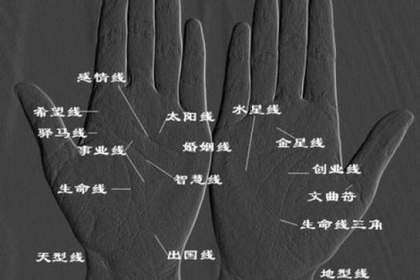 掌控人生，一掌定乾坤：揭秘手相中管理力强者的神秘纹路