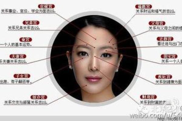 识人高手必备：揭秘面相中的富贵格局，一眼看穿命运走向