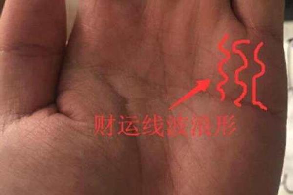 左手财运密码：揭秘你的财富命运
