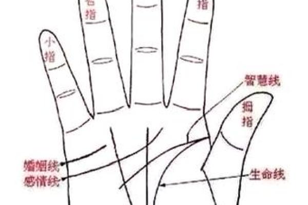 左手财运密码：揭秘你的财富命运