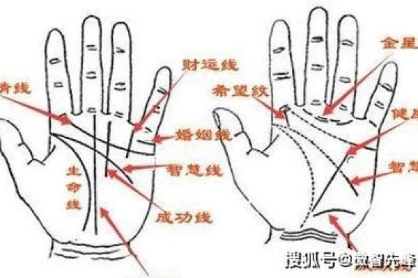 揭秘男性手相：一眼看穿命运的秘密