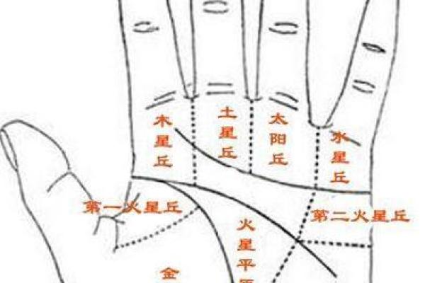 揭秘男性手相：一眼看穿命运的秘密