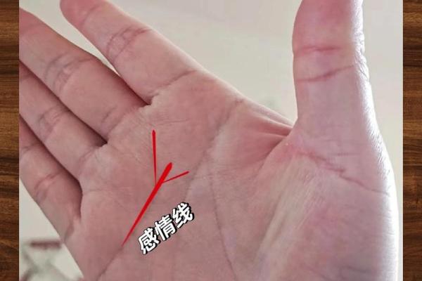 揭秘手相密码：子女线位置全解析，一看便知命运走向