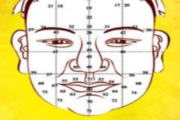 面相揭秘：发尖透露惊人命运，一测便知