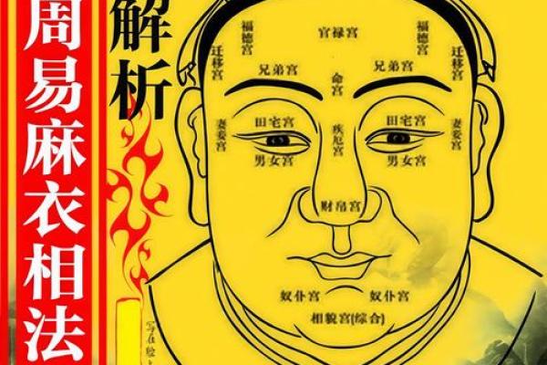 面相揭秘：发尖透露惊人命运，一测便知