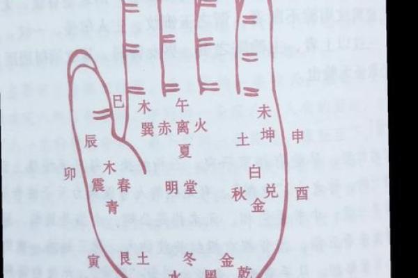 揭秘手相三大主线，轻松读懂命运之谜