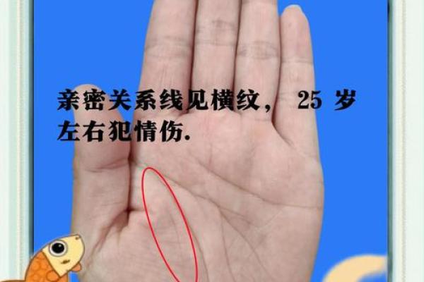 揭秘手相三大主线，轻松读懂命运之谜