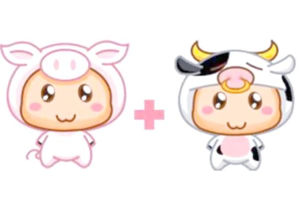 猴女牛男：天作之合还是八字不合？