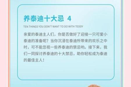 想给泰迪起个绝妙名字？这份清单不容错过