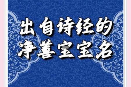 让《诗经》赋予宝宝名字的文化底蕴