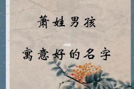 助你选个好名字，温州起名公司榜单