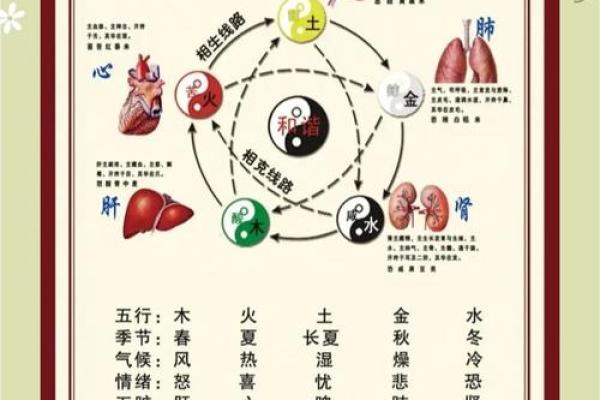五行木克制什么？专家为你深度解析