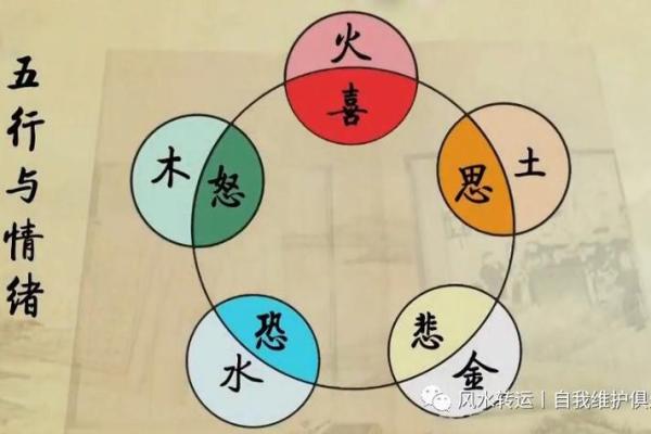稀字五行属火、金还是木？解读五行的奥秘