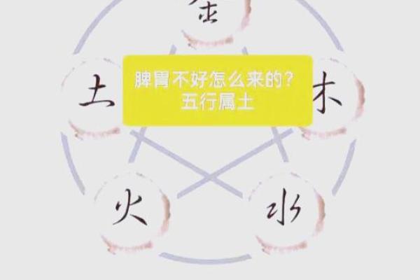 简五行属什么？揭秘五行背后的深层含义