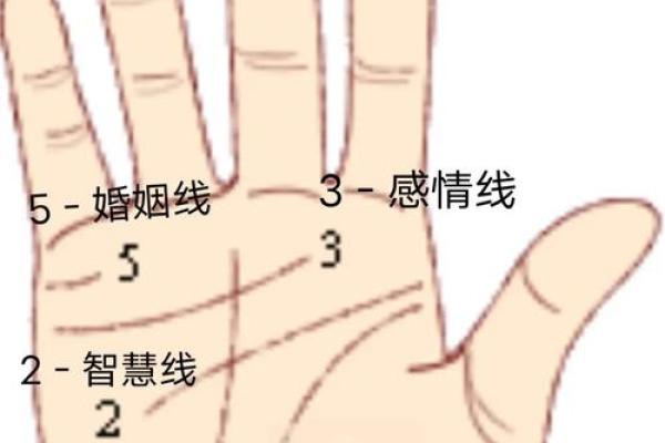 手相揭秘：看手相生男孩还是女孩？准到惊人