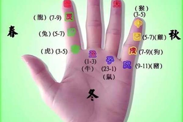 手相揭秘：看手相生男孩还是女孩？准到惊人