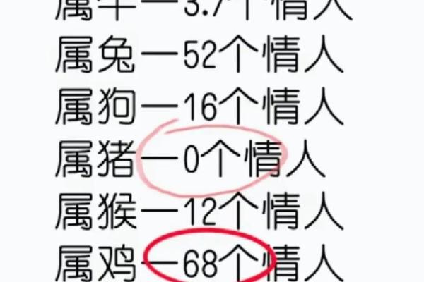 属马与属鼠，揭秘相配之谜