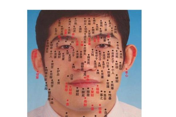 揭秘面相奥秘：男子面相大全，洞察命运的秘密武器