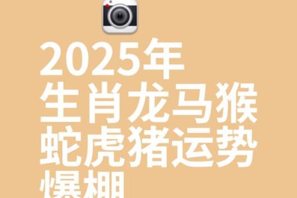 龙年龙命：揭秘你的生肖运势
