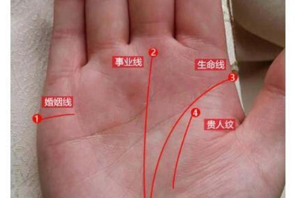 手相揭秘：龙压虎，财运亨通，事业巅峰
