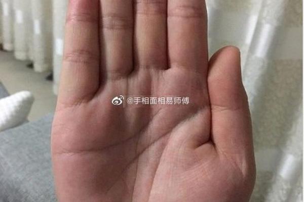 手相揭秘：龙压虎，财运亨通，事业巅峰