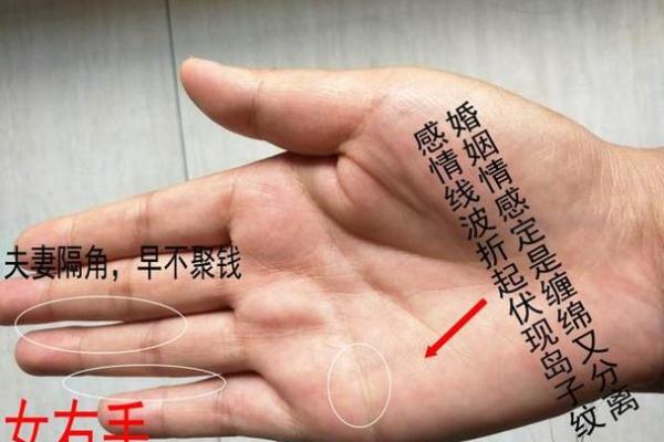 女人金型手相揭秘：好手相预示大富大贵，快来测测你的运势