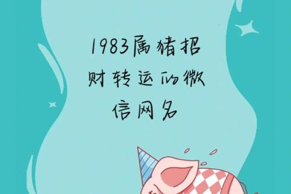 金鸡配金猪，财运亨通好搭档