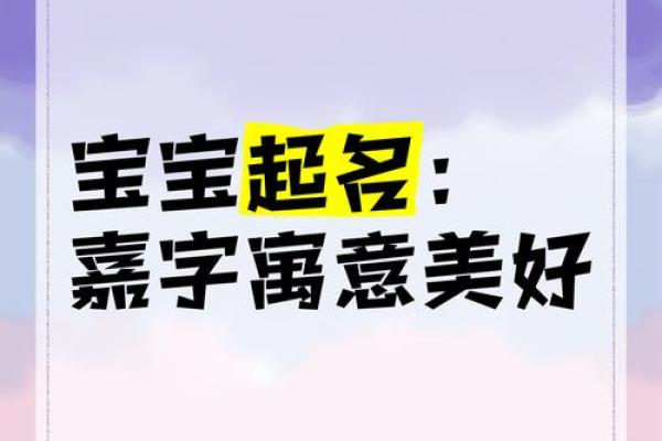 嘉字起名公司，专注为您量身定制完美名字