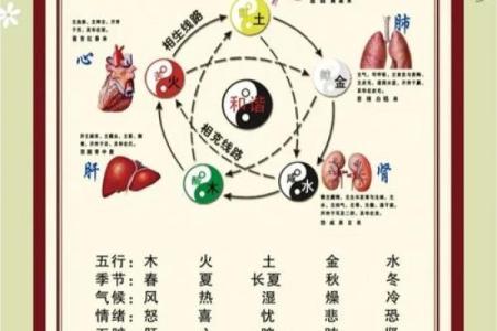 五行木克制什么？专家为你深度解析