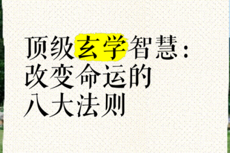 知的五行的力量：改变命运的智慧法则