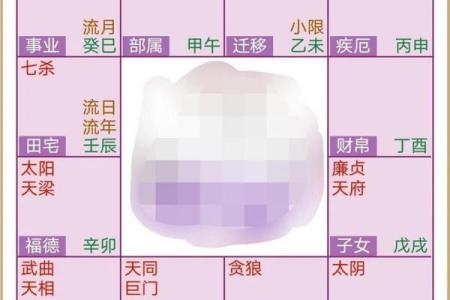 紫微斗数排盘出错？这些常见问题你必须知道