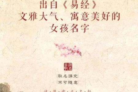 选对易经起名公司，开启人生好运之门