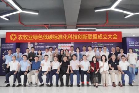 创新与传统结合的农牧业公司命名方法