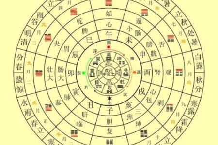 你知道命理天狗的准确算法吗？