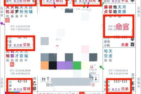 紫微星排盘技巧揭秘，轻松掌握命运走向