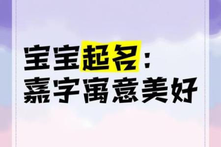 嘉字起名公司，专注为您量身定制完美名字